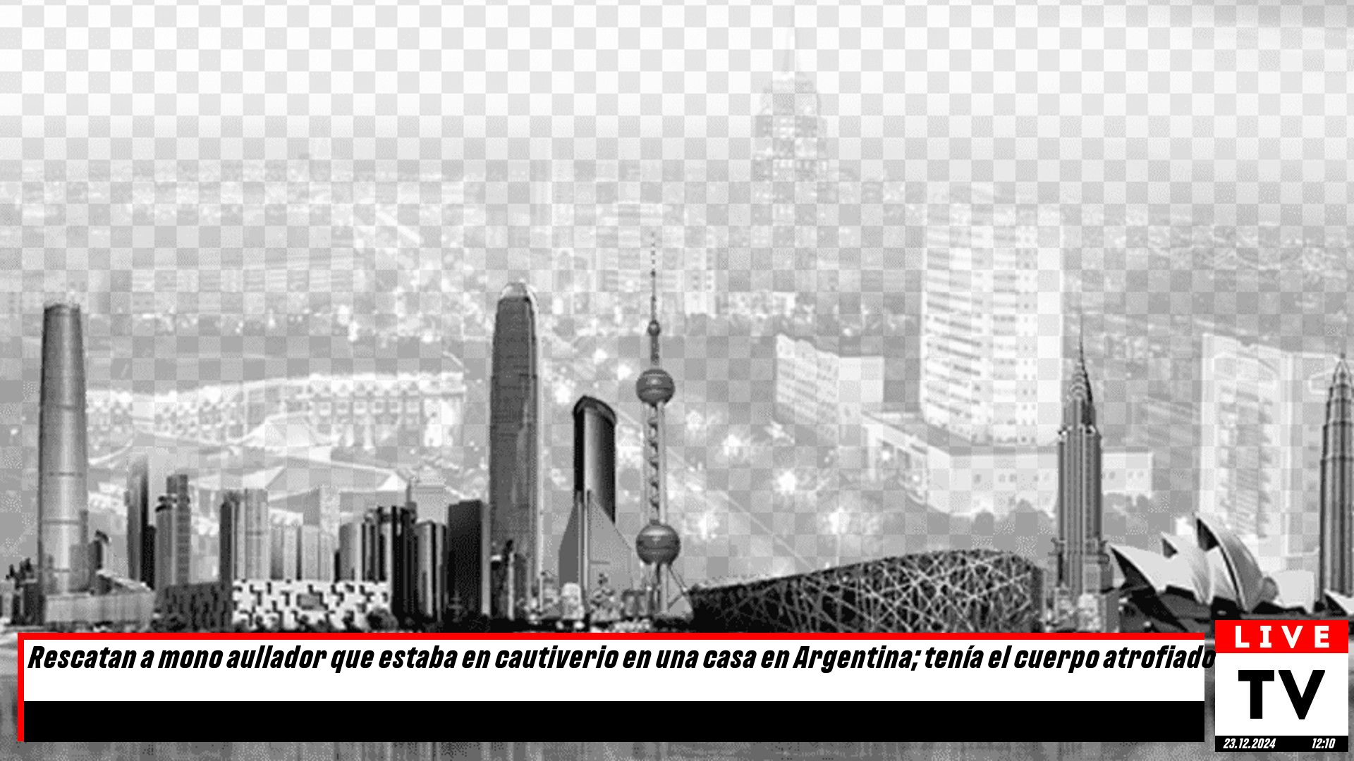 Rescatan a mono aullador en Argentina: hallado en cautiverio con graves problemas de salud